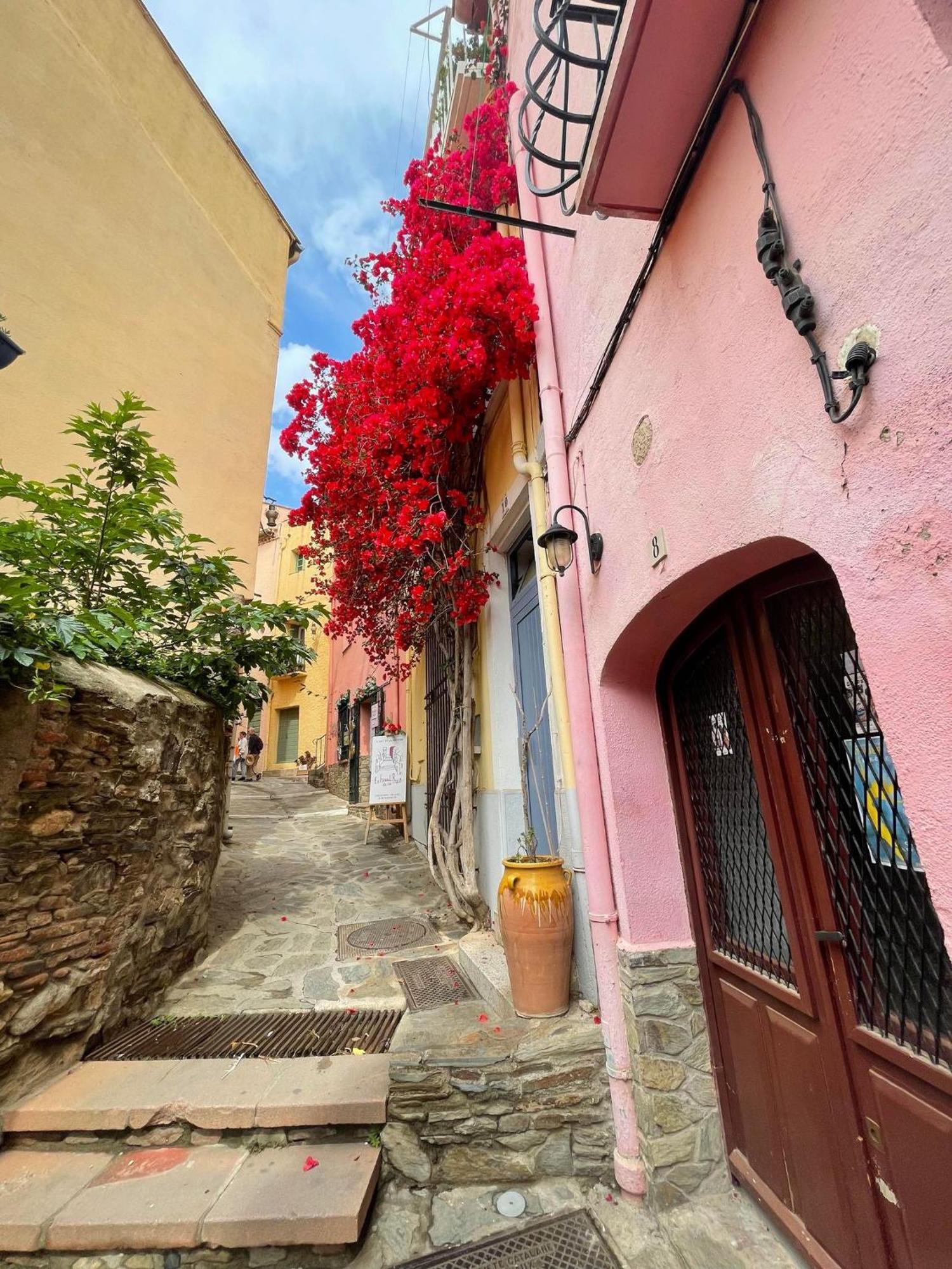 4Rb44 Appartement Proche Plage Collioure Exterior foto